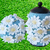 Daisy Chain Tea Cosy and Cafetiere Cosy Knitting Pattern