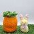 Bunny in Carrot Bag- Crochet Pattern-English