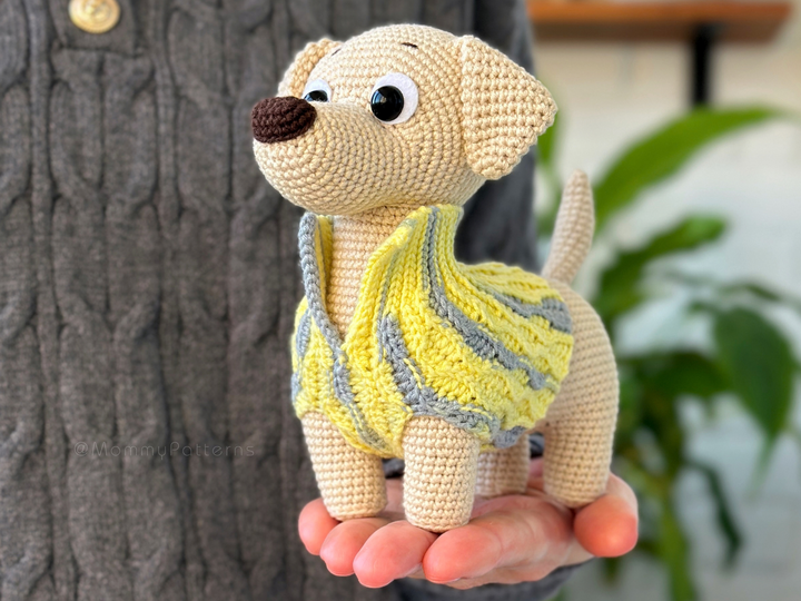 Labrador Dog