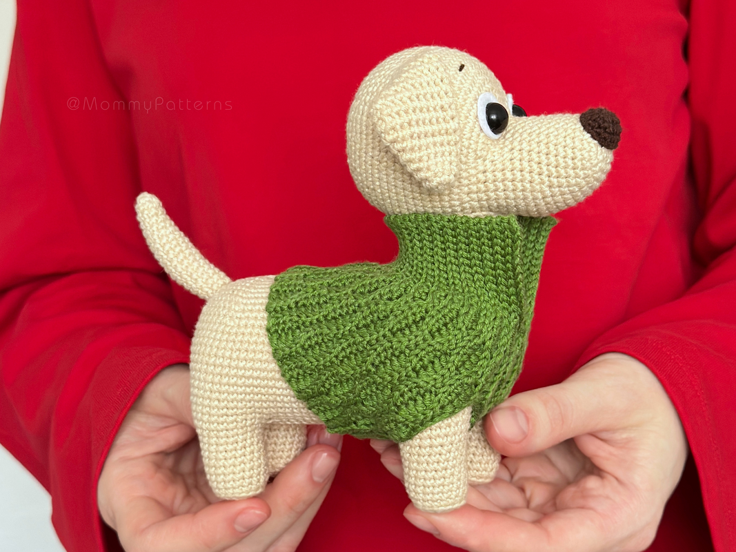 Labrador Dog - Image 5