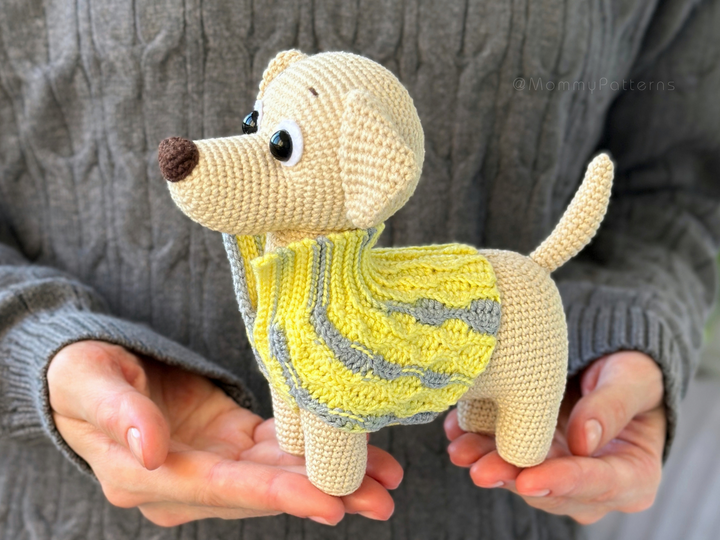 Labrador Dog