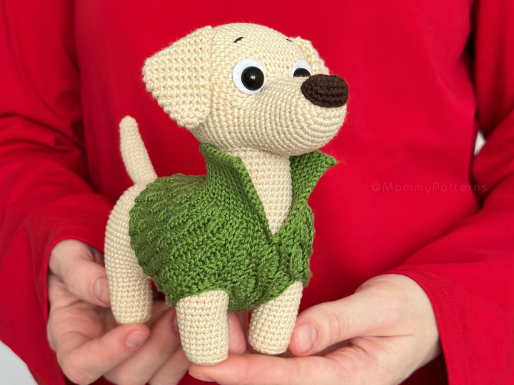 Labrador Dog