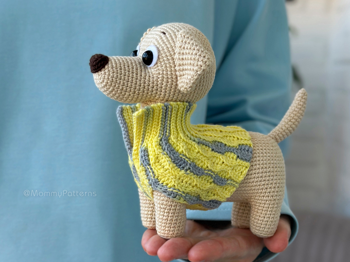 Labrador Puppy