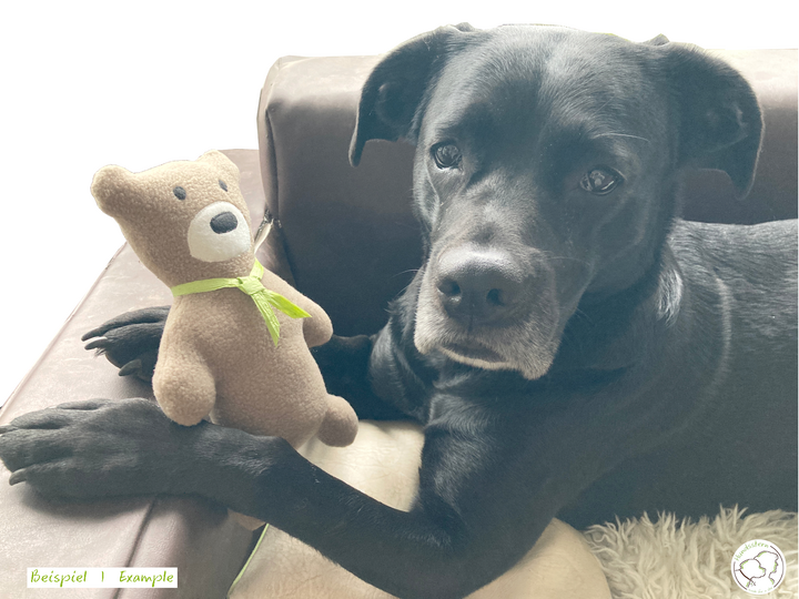 ARTOS Teddy Bear, Dog Toy, Cuddly Cushion. Sewing pattern