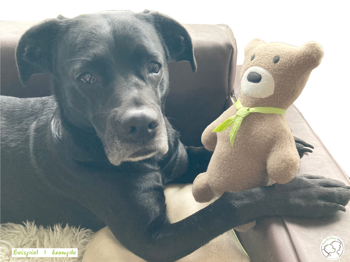 ARTOS Teddybär, Hundespielzeug, Kuschelkissen. Nähanleitung + Schnitt