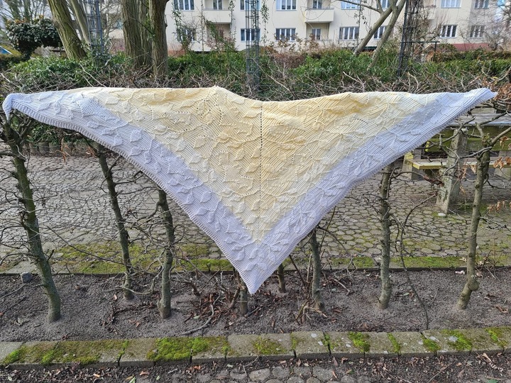 Crochet pattern shawl Morbi
