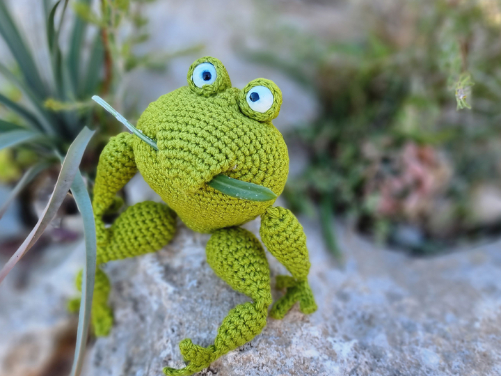 P19 Häkelanleitung Frosch mit Jacke, Amigurumi ,Schlüssel-,Taschenanhänger