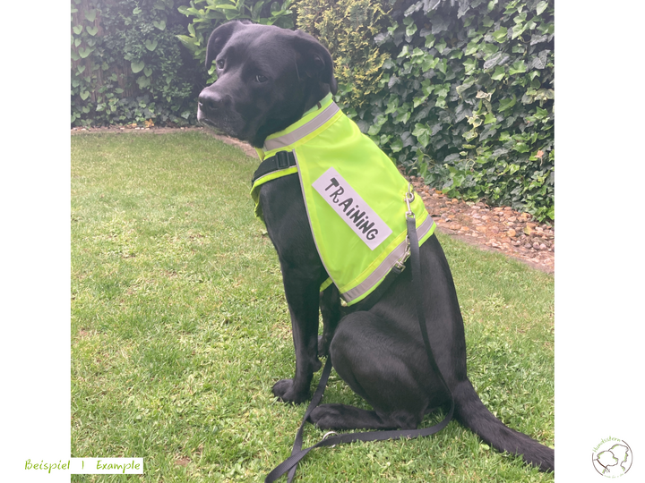 SPARKIE Safety Vest in 6 sizes + PawPATCH Hook&Loop Patches. Sewing Pattern