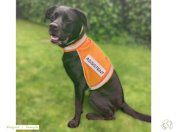 SPARKIE Safety Vest in 6 sizes + PawPATCH Hook&Loop Patches. Sewing Pattern