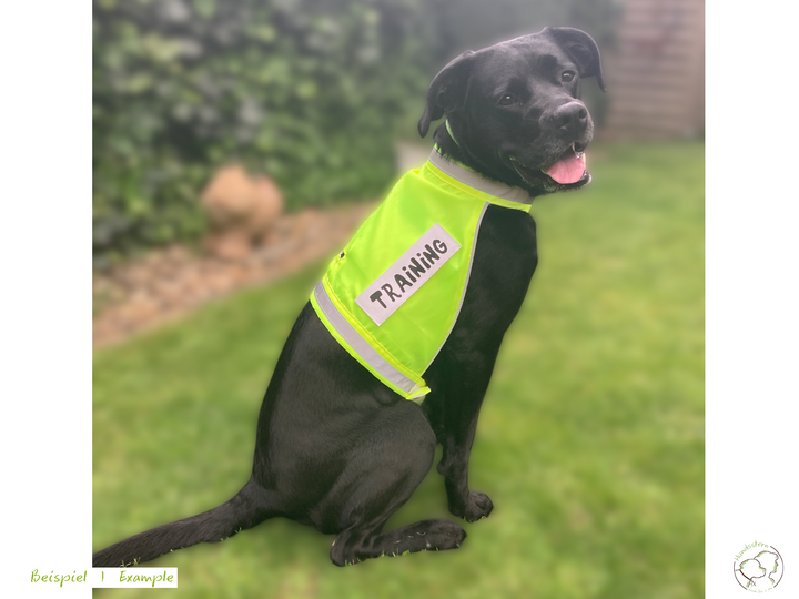 SPARKIE Safety Vest in 6 sizes + PawPATCH Hook&Loop Patches. Sewing Pattern