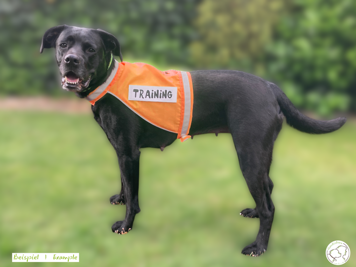 SPARKIE Safety Vest in 6 sizes + PawPATCH Hook&Loop Patches. Sewing Pattern