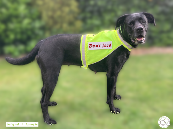 SPARKIE Safety Vest in 6 sizes + PawPATCH Hook&Loop Patches. Sewing Pattern