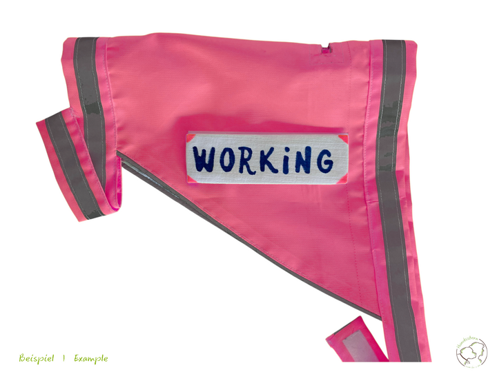 SPARKIE Warnweste 6 Größen + PawPATCH Klettsticker. Nähanleitung+Schnitt