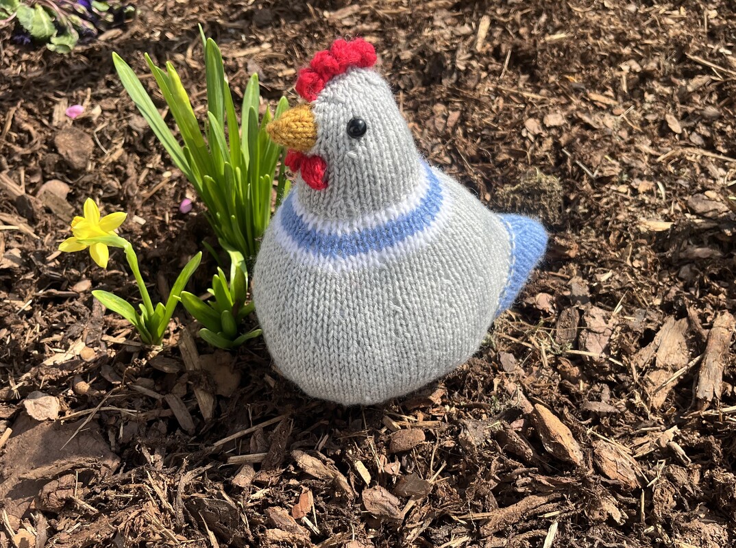 Osterhühner Georg und Friedrich * Strickanleitung - Bild 3