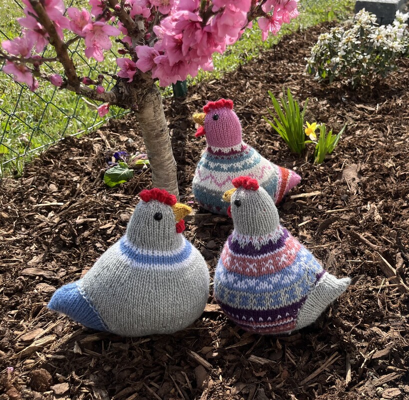 Drei gestrickte Hühner-Amigurumi mit bunten Streifen unter rosa Blüten