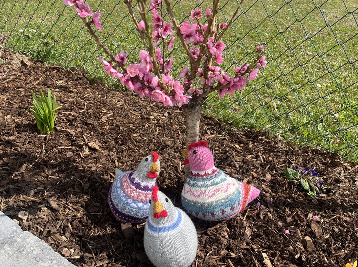 Osterhühner Georg und Friedrich * Strickanleitung