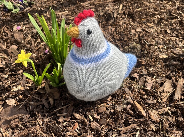 Osterhühner Georg und Friedrich * Strickanleitung