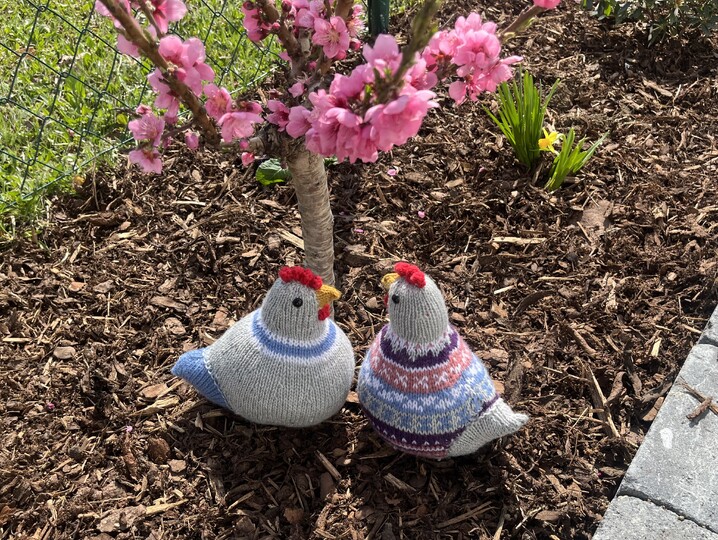 Osterhühner Georg und Friedrich * Strickanleitung