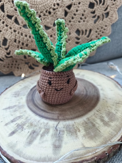 Aloe Vera Potted Plant with Message | Amigurumi Plant