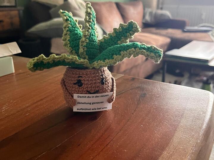 Aloe Vera im Topf mit Botschaft | Amigurumi Pflanze