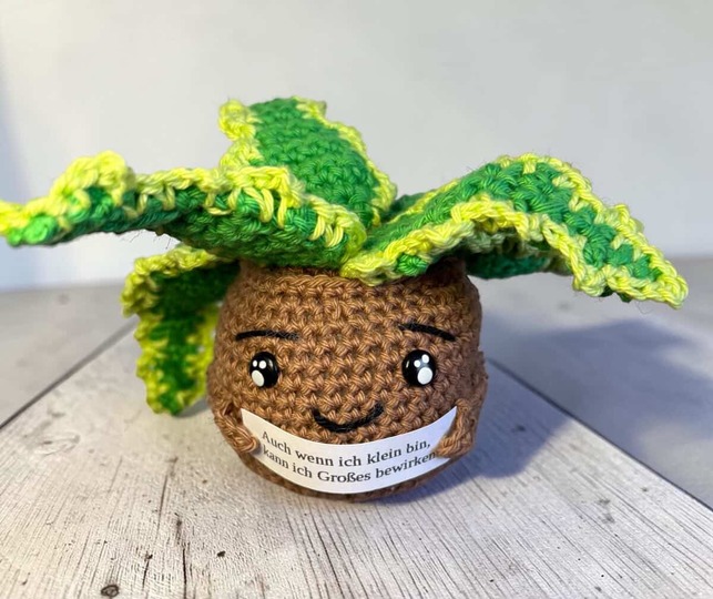 Aloe Vera Potted Plant with Message | Amigurumi Plant