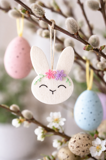 Oster Plotter Bundle