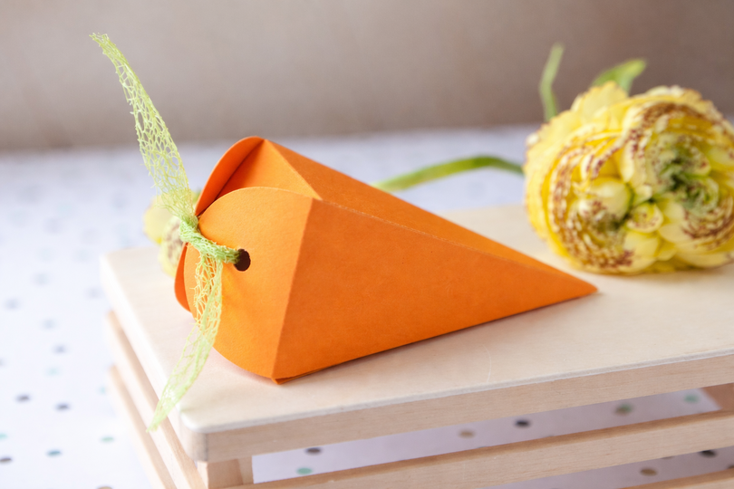 Oster Plotter Bundle