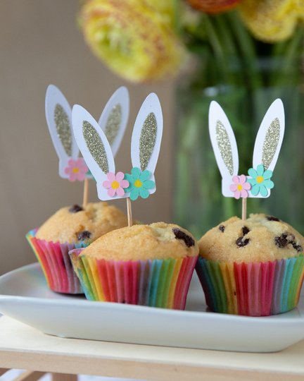 Oster Plotter Bundle