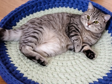 Upcycling Sitzunterlage und Liegematte Tierbett für Haustiere aus Bettlaken