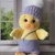 Plush Duckling Crochet Pattern