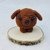 Loyal Little Puppy , Keychain , Stress Reliever, (7 cm)