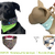 DANDY snap-on Reversible OTC Bandana for Martingale Collars. Sewing Pattern