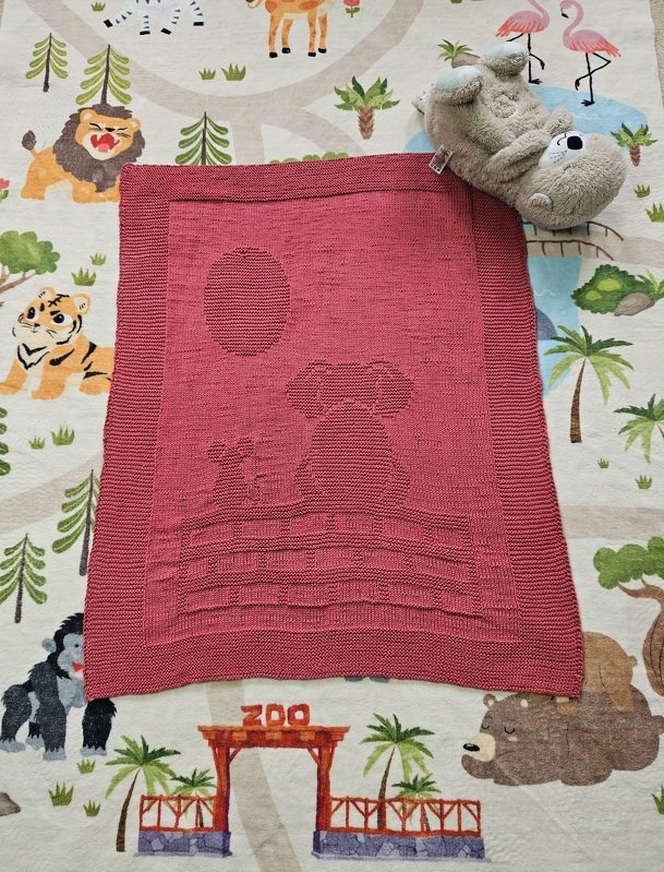 Knitting Pattern Newborn Baby Blanket, Two Friends