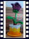 Slide 7 von 10