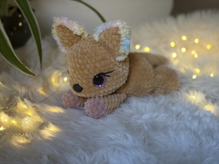 Sury – die kleine Kuschelkatze