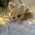 Sury – die kleine Kuschelkatze