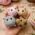 Glücksschweinchen Set | Amigurumi Schlüsselanhänger Glücksbringer | No-Sew
