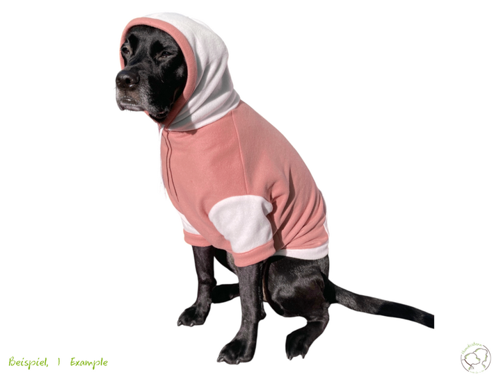 HOLLIS Dog Hoodie, Kangaroo Pocket, sizes XS-XXL. Sewing Pattern