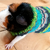 Easy Guinea Pig Sweater For Knitters