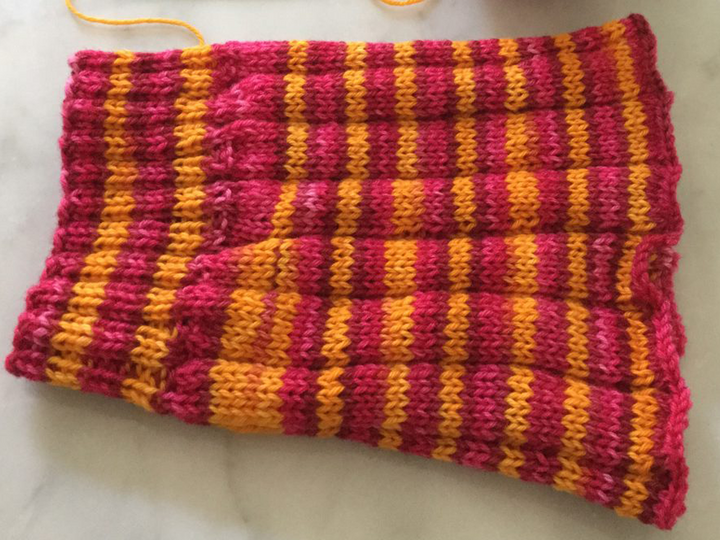 Easy Guinea Pig Sweater For Knitters