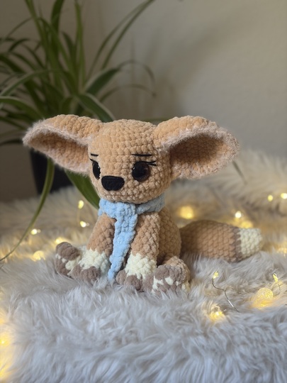 Fini der Wüstenfuchs