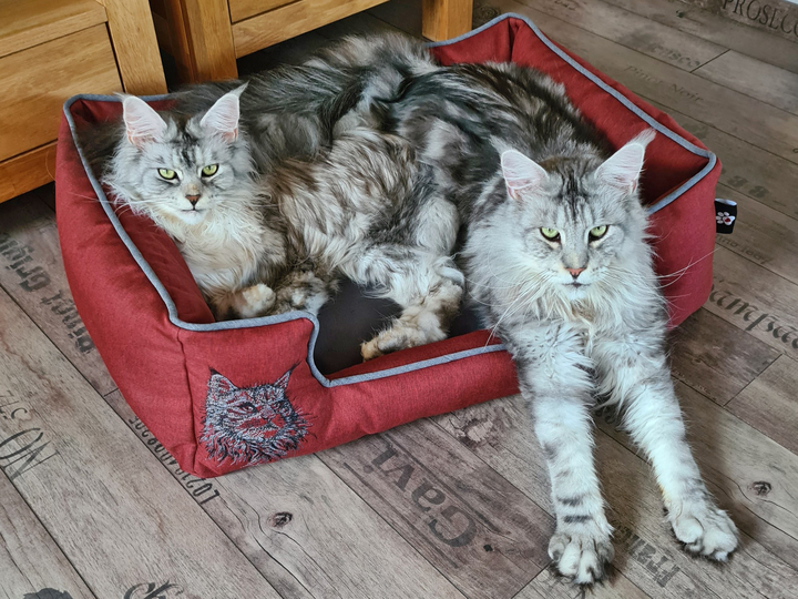 Alma Dog Bed / Cat Bed - PDF Sewing Pattern & Instructions with Video