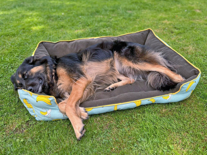 Hundebett / Katzenbett Alma - PDF Schnittmuster & Nähanleitung mit Video