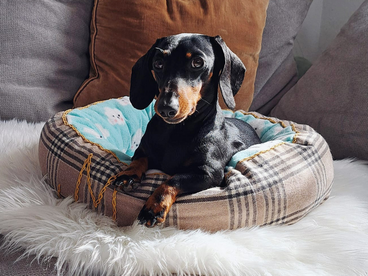 Katzenbett / Hundebett - PDF Schnittmuster & Nähanleitung mit Video