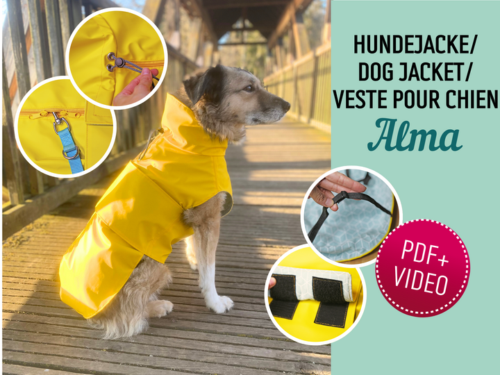 Alma dog jacket- PDF Sewing Pattern & Instructions with Video