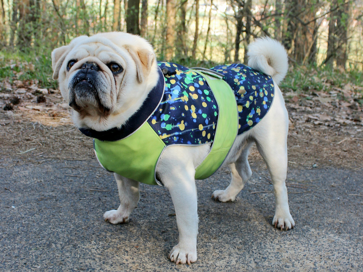 Alma dog jacket- PDF Sewing Pattern & Instructions with Video
