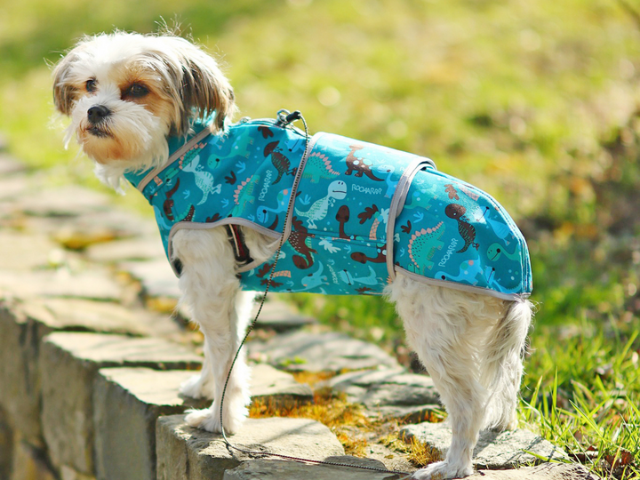 Alma dog jacket- PDF Sewing Pattern & Instructions with Video