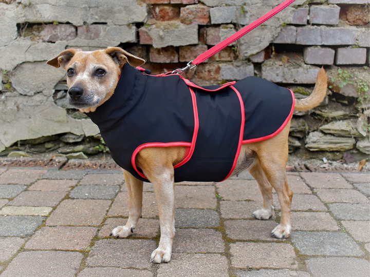 Alma dog jacket- PDF Sewing Pattern & Instructions with Video
