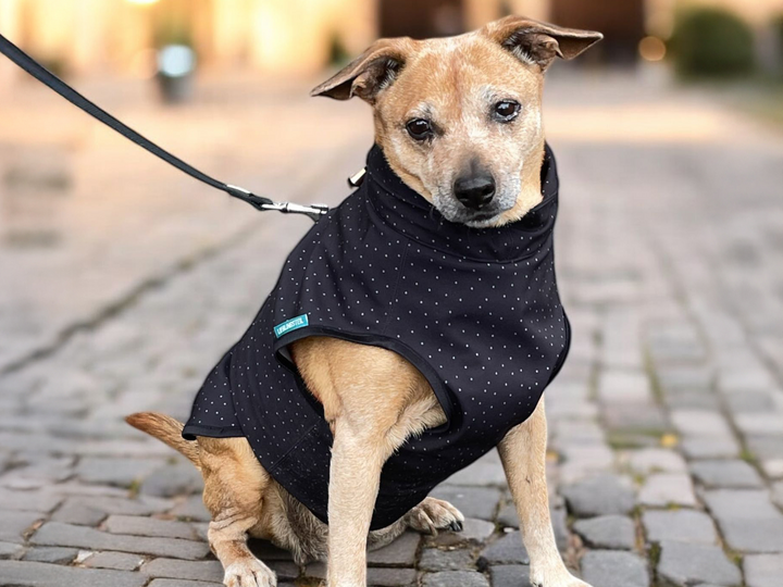 Hundejacke Alma - PDF Schnittmuster & Nähanleitung mit Video