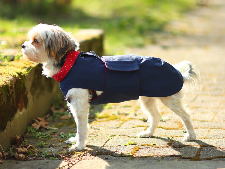 Hundejacke Alma - PDF Schnittmuster & Nähanleitung mit Video
